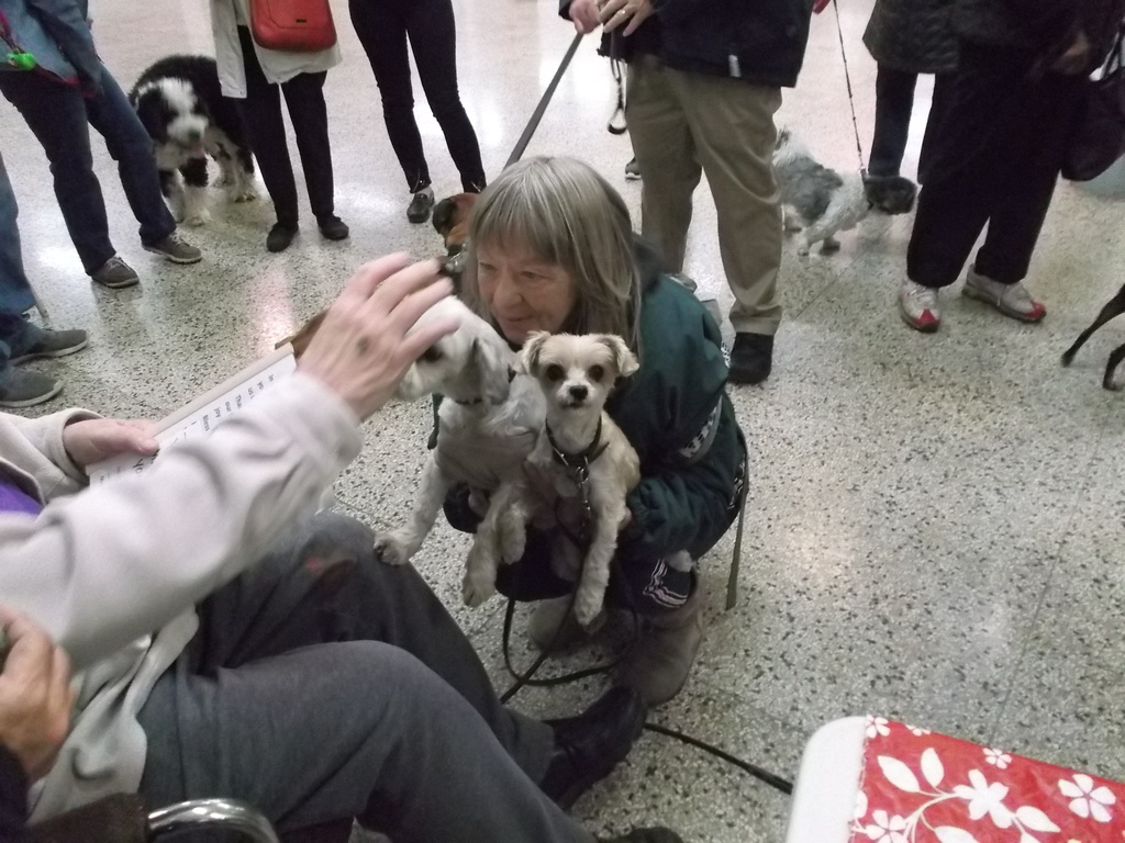 Blessing of the Pets (2019)