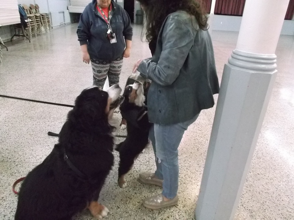 Parish Pets Blessing Event (2019)